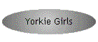 Yorkie Girls