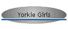 Yorkie Girls